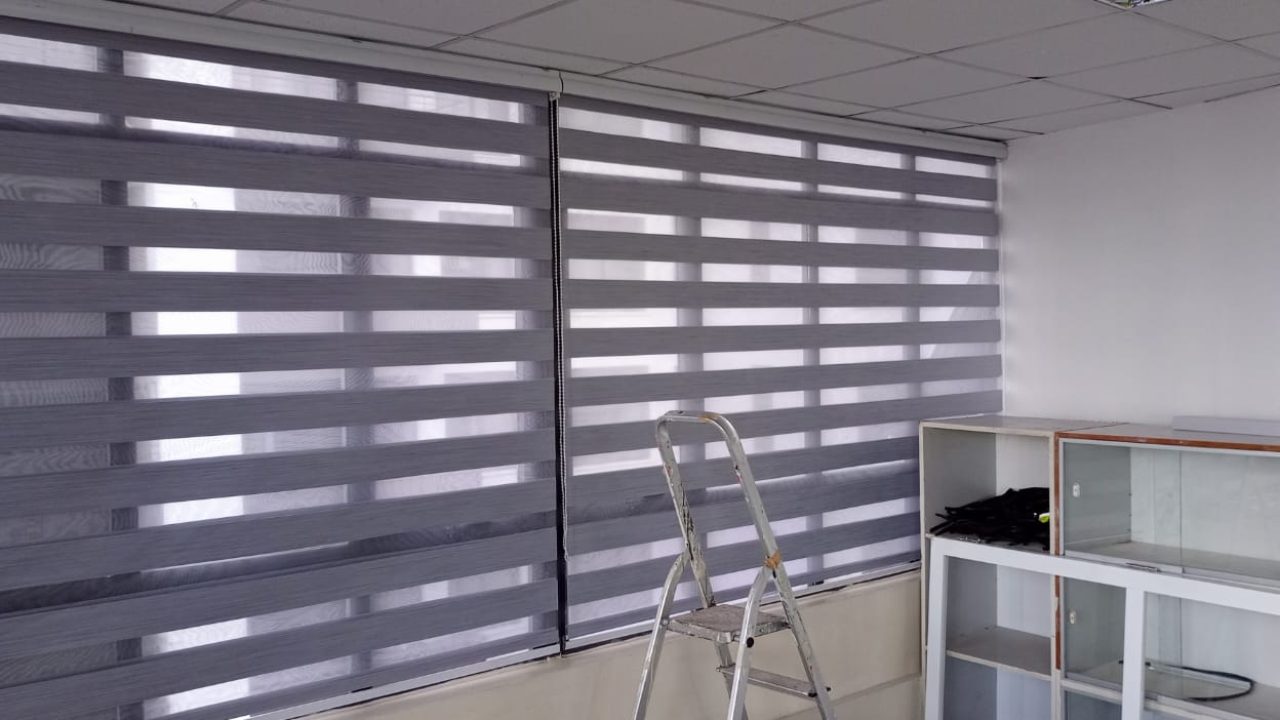 Zebra Blinds