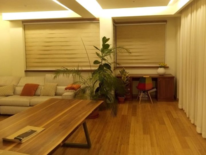 Zebra Blinds