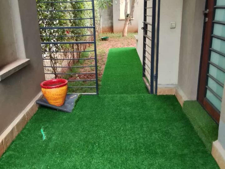 Grass Carpet